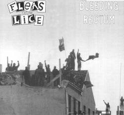Fleas And Lice : Fleas and Lice - Bleeding Rectum